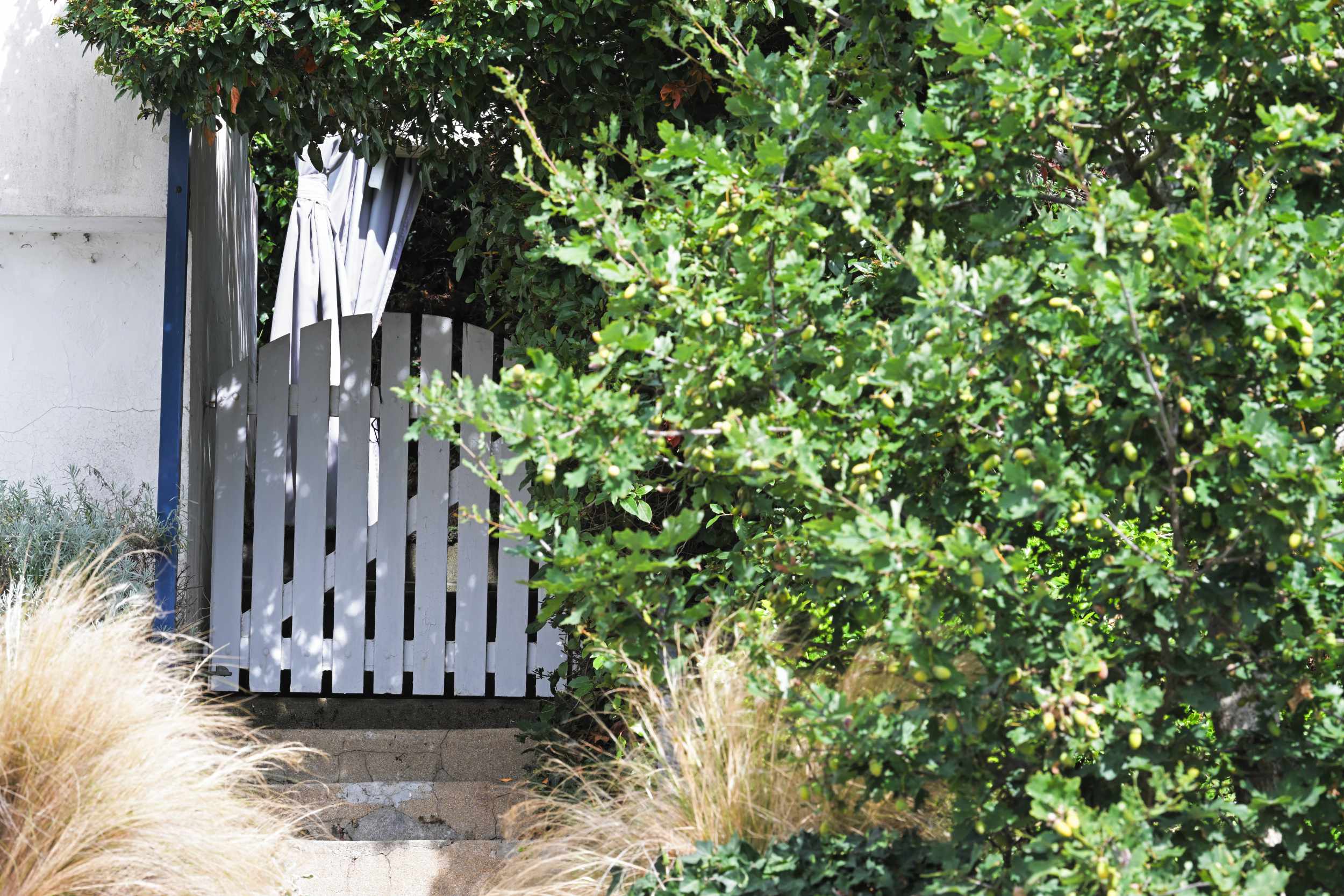 Le passage végétalisé et son portillon côté jardin